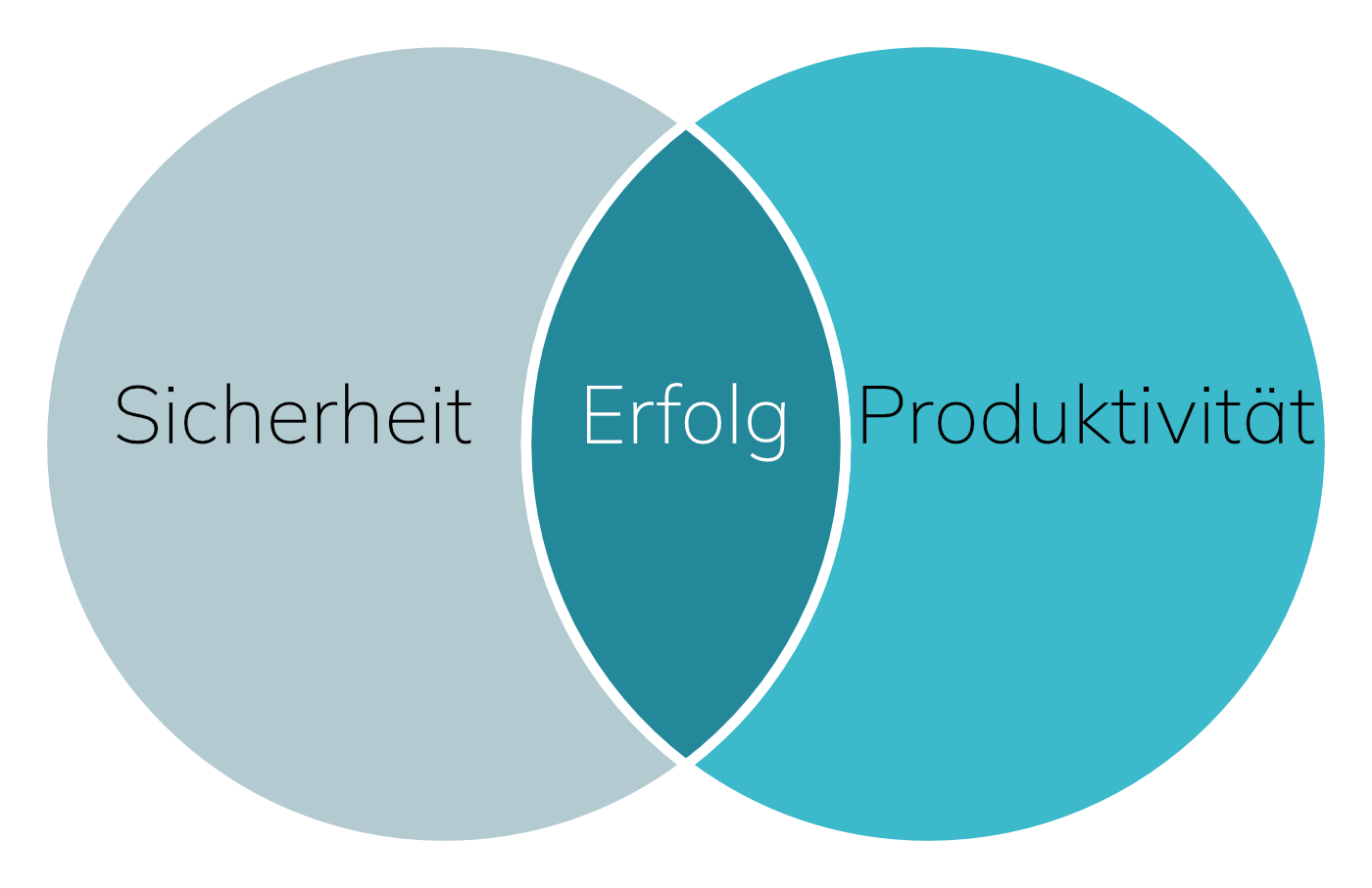 Erfolgreiches IAM
